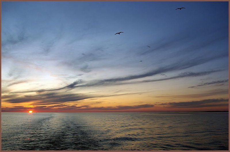 онего,озеро,закат Онежский закат 3photo preview