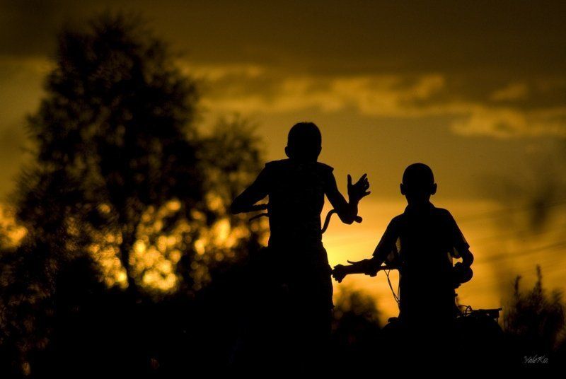 Когда деревья были большими.photo preview