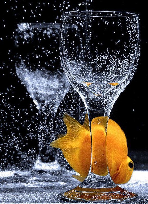 титаник, пассажир О новых пассажирах Титаника...photo preview