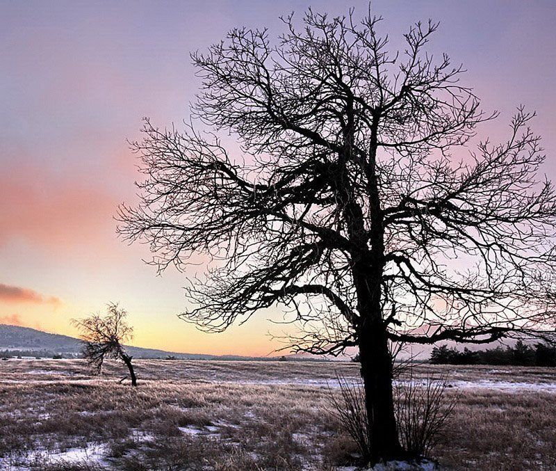 вечер на платоphoto preview