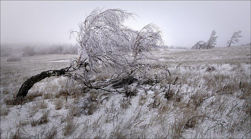 зима,холодно не прощенные-2photo preview