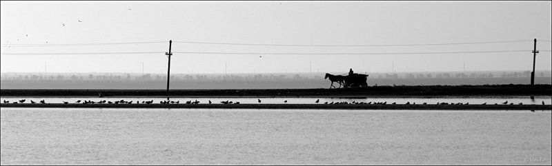 Дорожно неспешнаяphoto preview