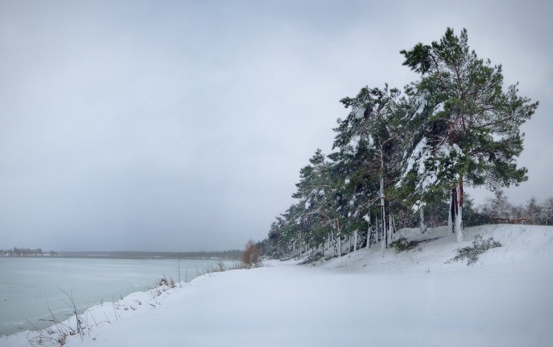 лес, зима, снег, панорама, озеро, жанр С Наступающим Новым Годомphoto preview