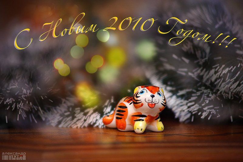 новый,год,2010,счастье,праздник С Новым  2010 Годом !!!photo preview