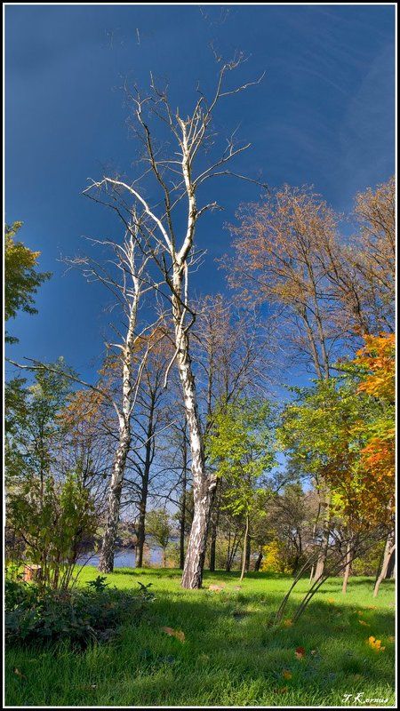 хортица,днепр,пейзаж Встреча друзейphoto preview