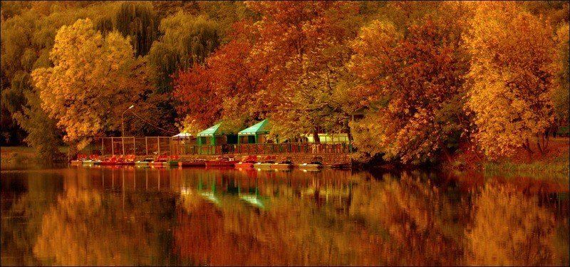 Осеньphoto preview