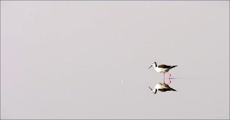 Наединеphoto preview