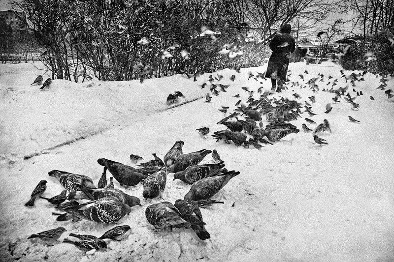 Пир.photo preview