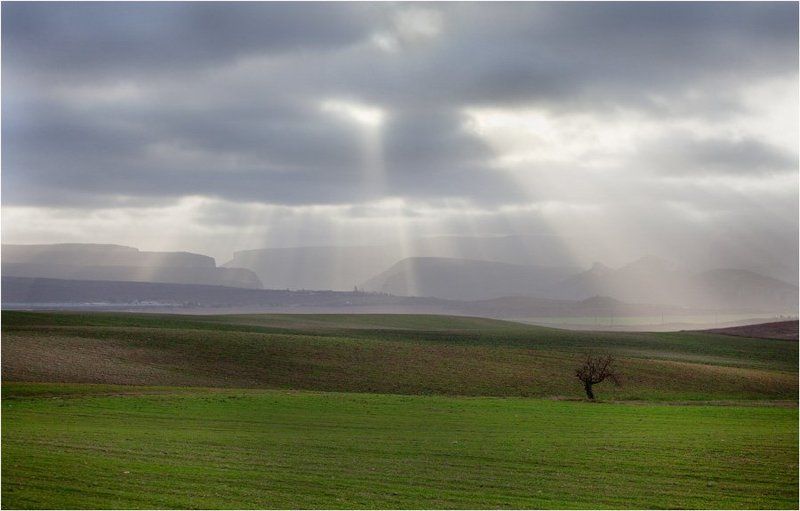 Зима в крымуphoto preview