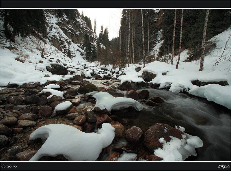 Быстрая рекаphoto preview