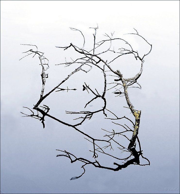 Графичностьphoto preview