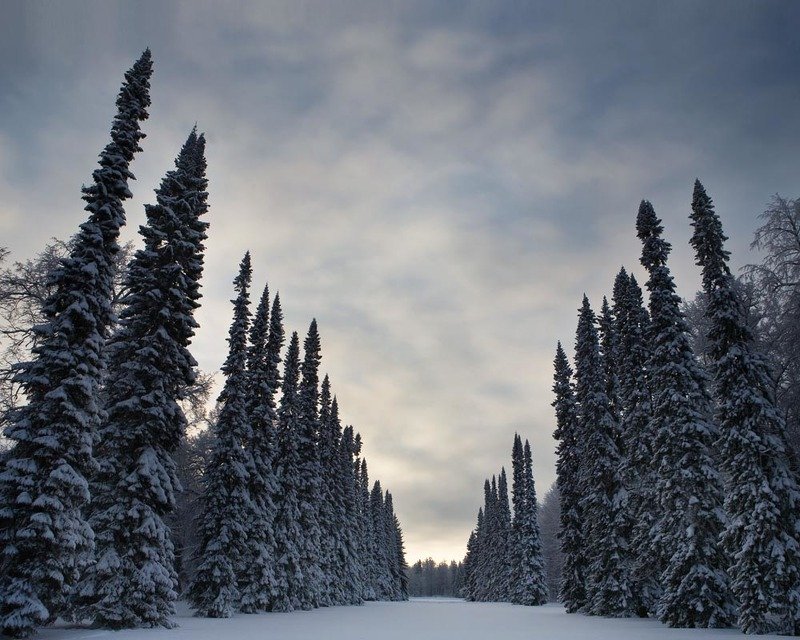 Зимнееphoto preview