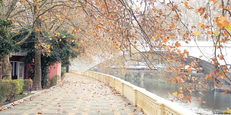 Зима в Сочиphoto preview