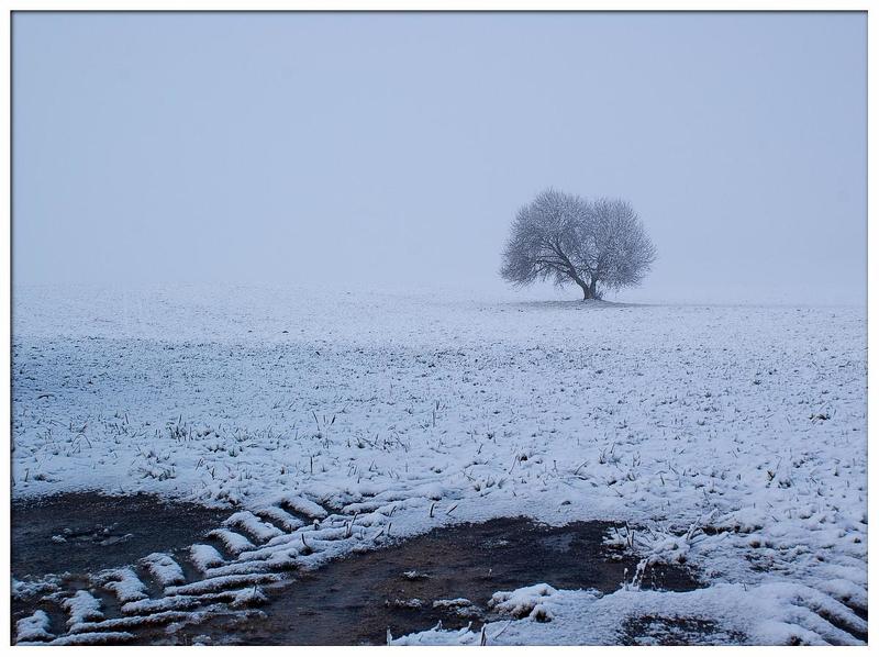 Из серий Утренняя дорога 3 смотреть во весь экранphoto preview