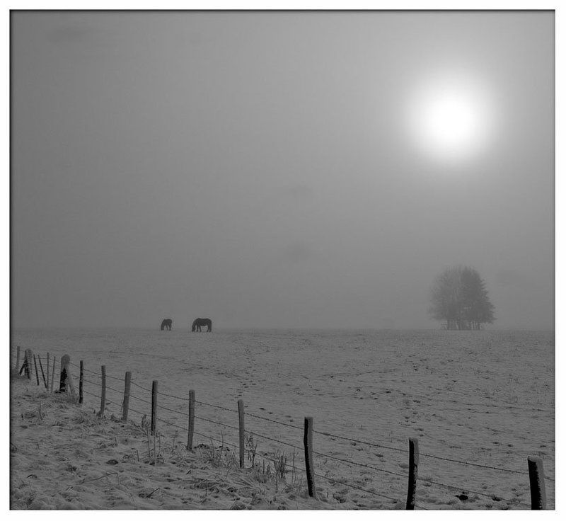 Из серий вместе навсегда 2photo preview