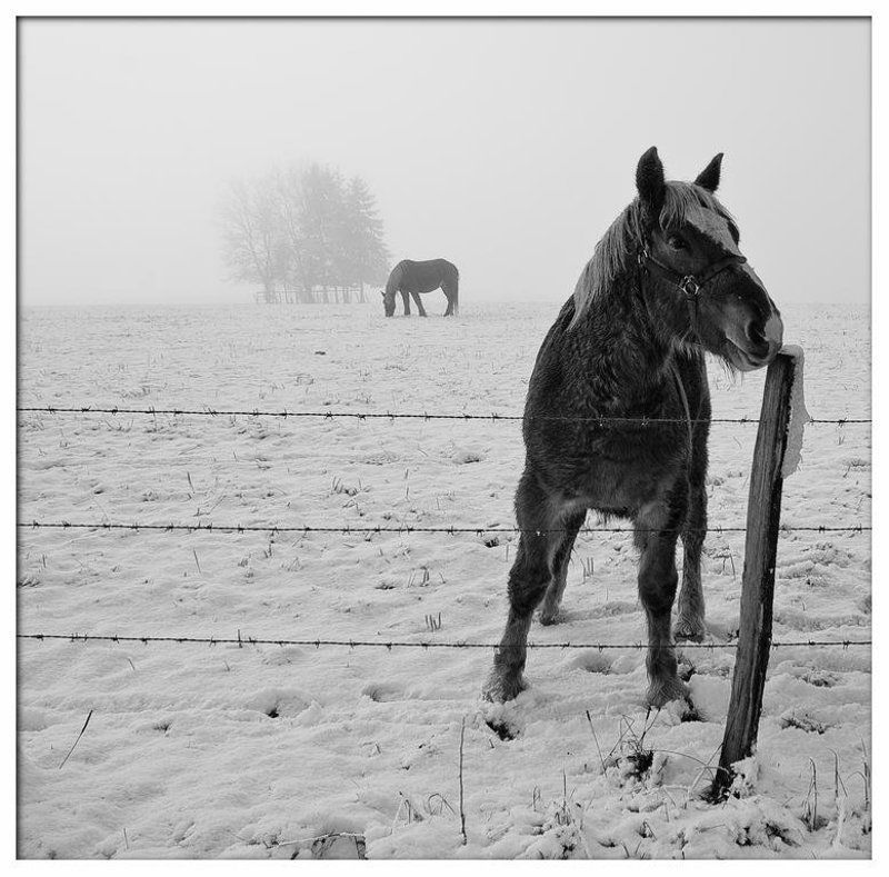 Вместе навсегда 3photo preview