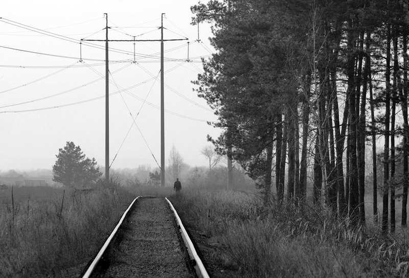 человек, дорога, лес, жанр, чб по-путямphoto preview