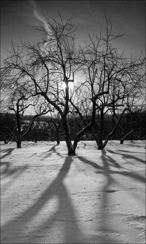 пейзаж, зима Предзакатная геометрияphoto preview