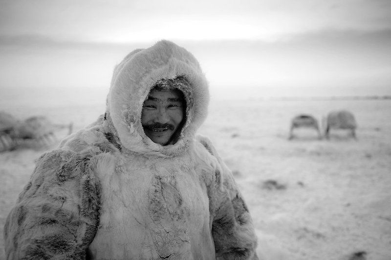 жизнь на краю земли, ненцы, жанровый портрет, север оленевод Яркоphoto preview