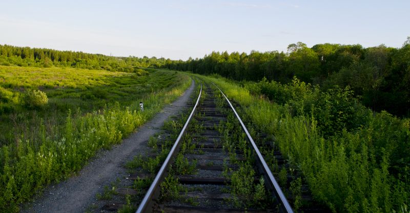 путь,дорога,зелень Зеленый путьphoto preview
