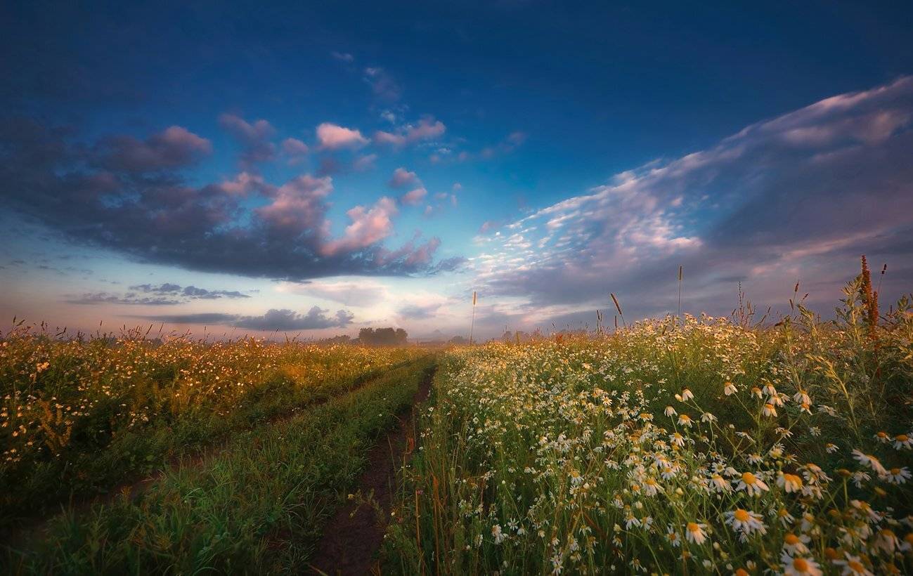 , Сергей (Bekr)