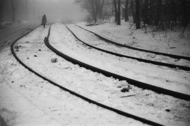 koshkinotime dmitriysosna b\\w ч\\б photo preview