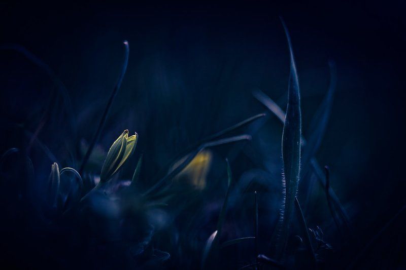 Blue moodphoto preview