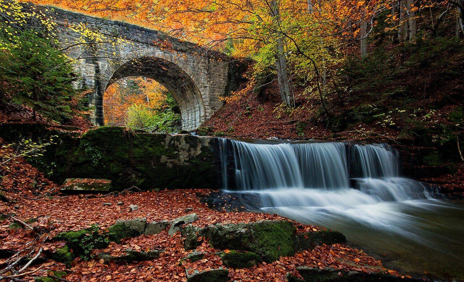 есенна романтика. Автор: Naiden Bochev , Naiden Bochev