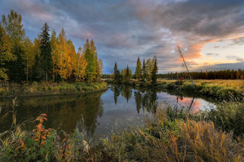 Золотая осень, Осень, Река эсс Осенний вечерphoto preview