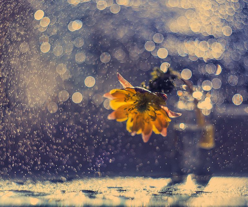 Мне сегодня сон приснился ...photo preview