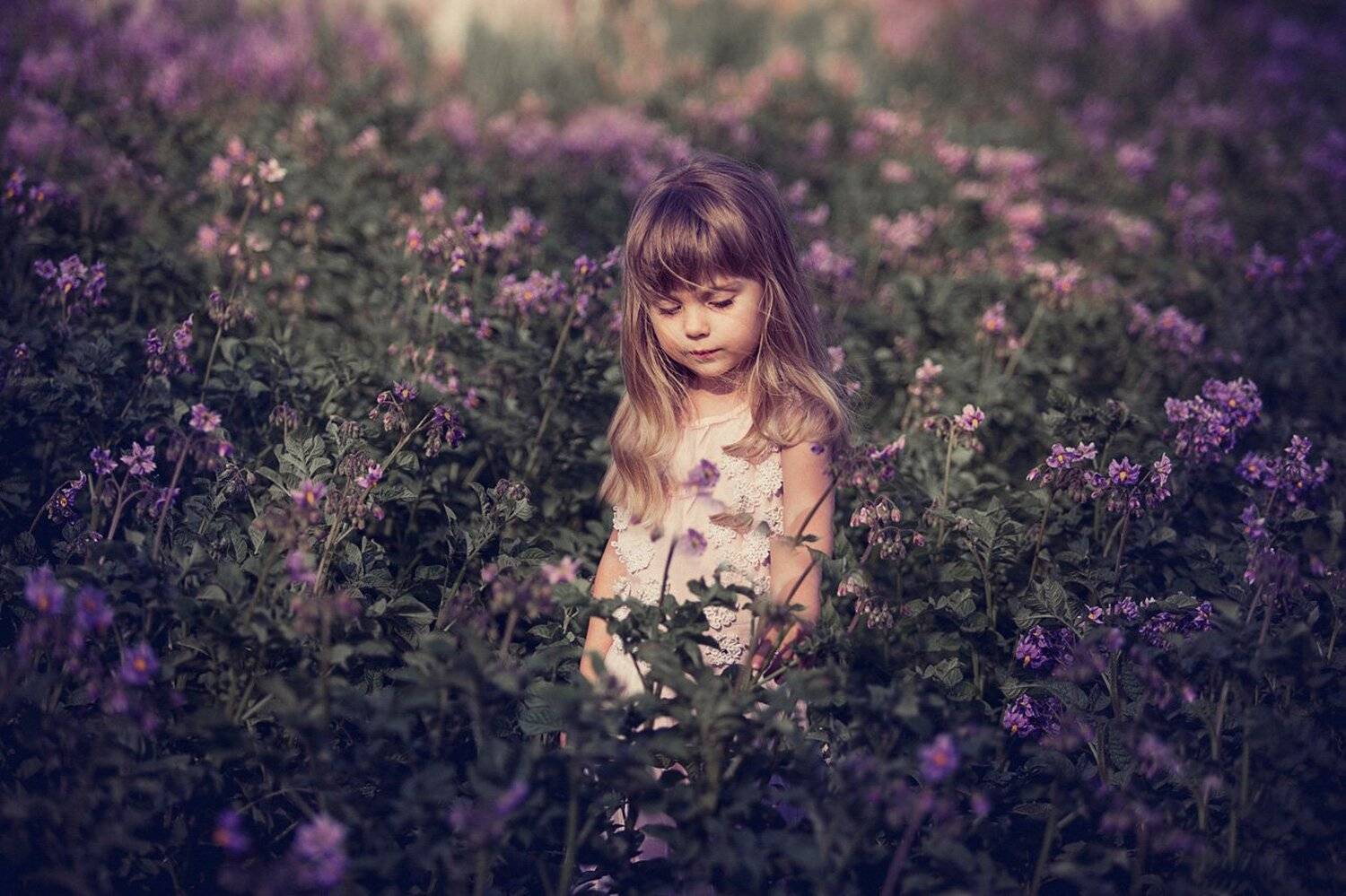 , Наталія Виноградова