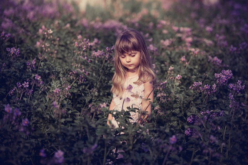 Синеглазкаphoto preview