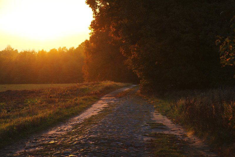 Дороги Балтикиphoto preview