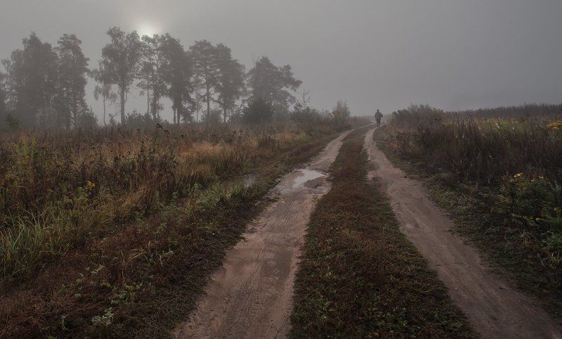 Подмосковь, Купавна, Сентябрь Явление грибника народуphoto preview