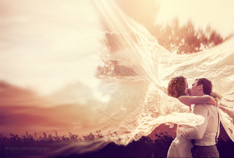 невеста, жених,фата, поцелуй Поцелуйphoto preview