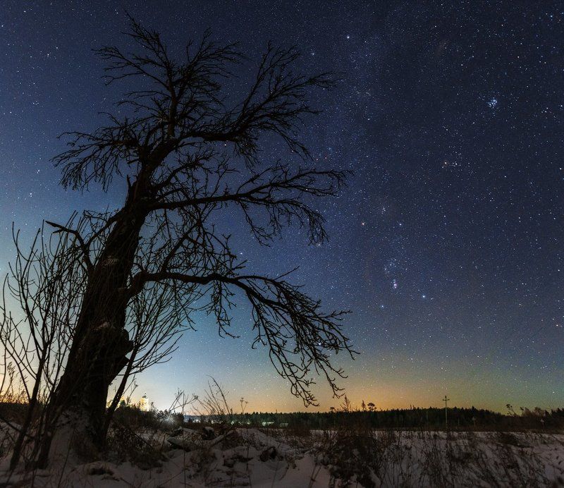 Космос, Плеяды, Орион, Созвездия В погоне Ориона за Плеядамиphoto preview
