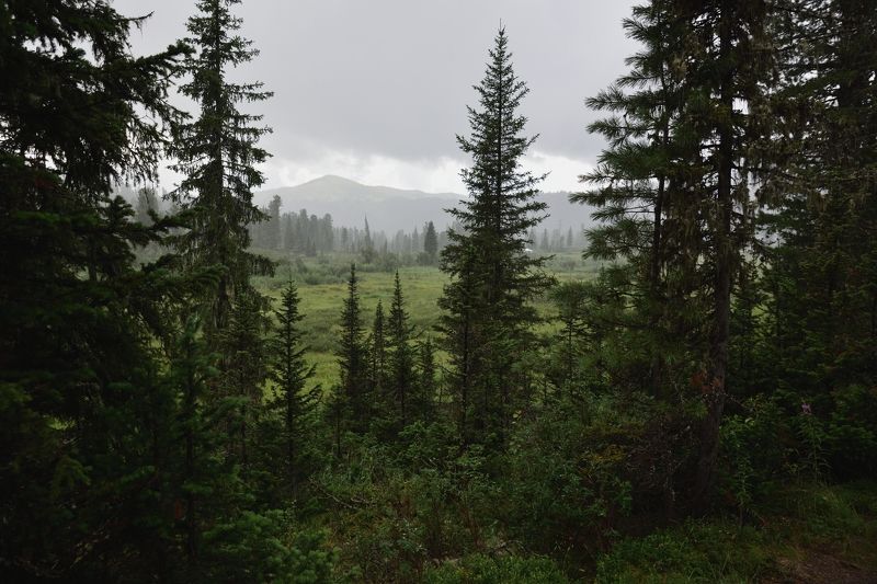 Взгляд сквозьphoto preview