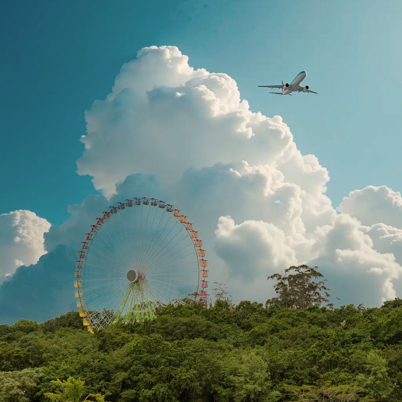 Wonder wheelphoto preview