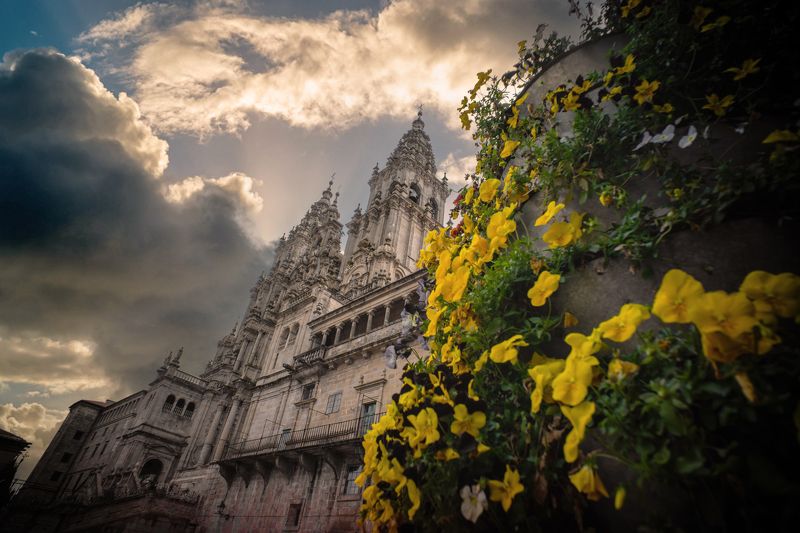 Compostelaphoto preview