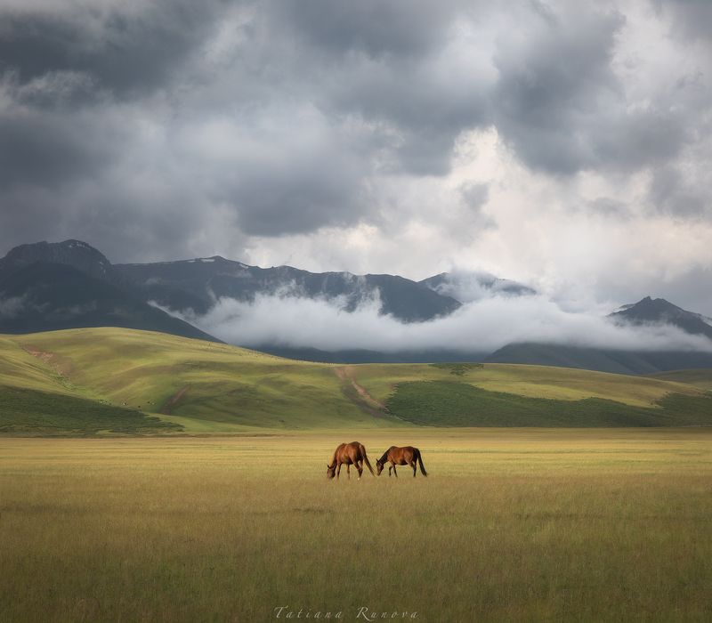 Хорошо, когда вместе, бок о бок, в любую погоду!photo preview