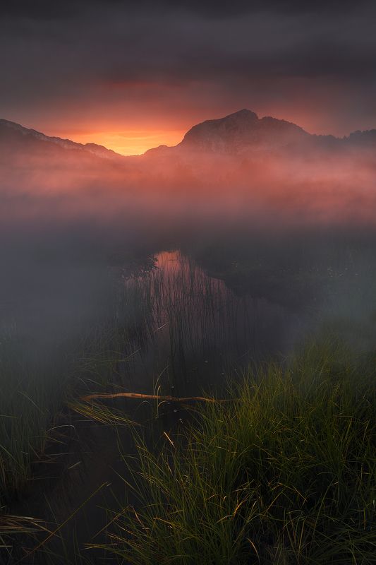 Место из моих сновphoto preview