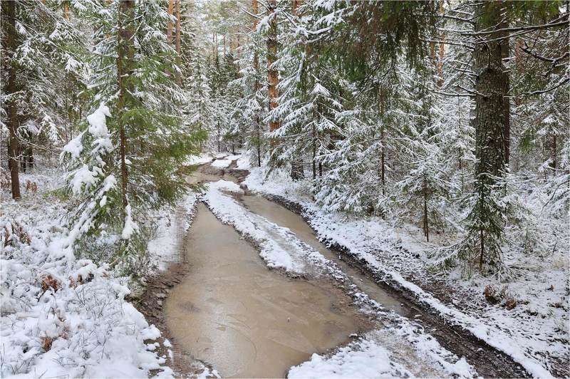 Начало зимыphoto preview