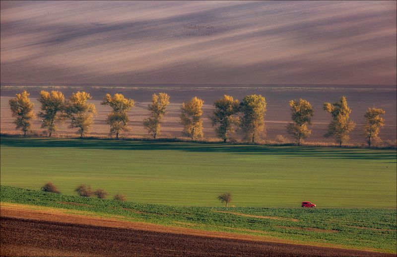 южная моравия,nature,пейзаж,линии,south moravian,lines,свет,czech,осень,rural,чехия,landscapes,фургончик,colors,природа Красный фургончик фото превью