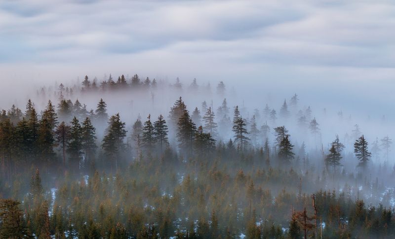 Low Inversionphoto preview