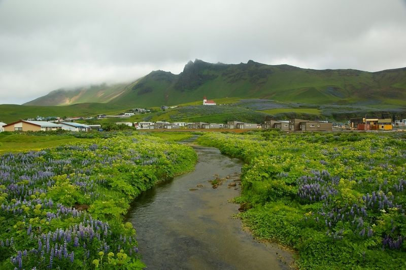 Fairylandphoto preview