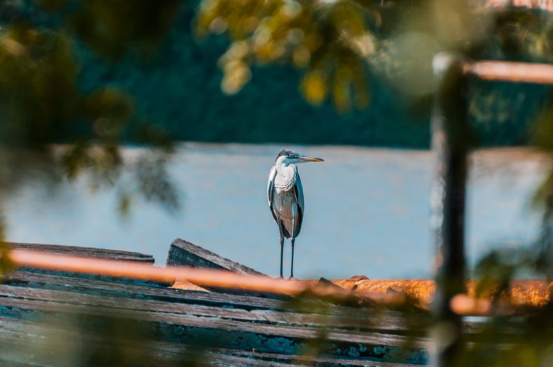 Garza Moraphoto preview