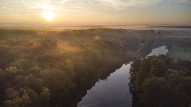 Poranekphoto preview