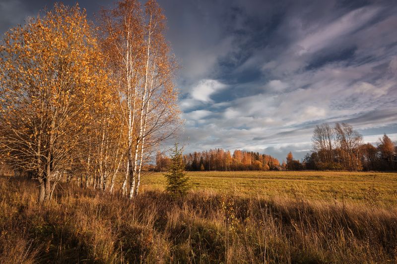 осень Торбеево Осеннее настроение... фото превью