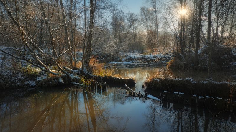 Солнце зимнего дняphoto preview