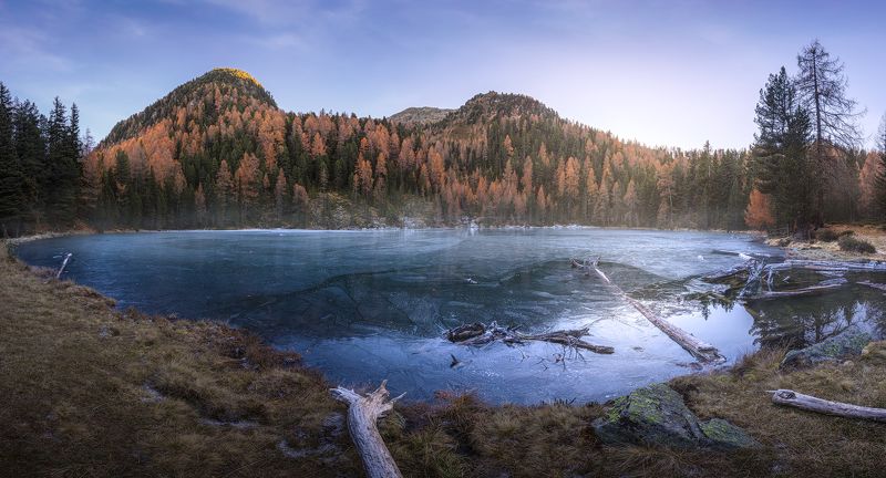 Brunicophoto preview